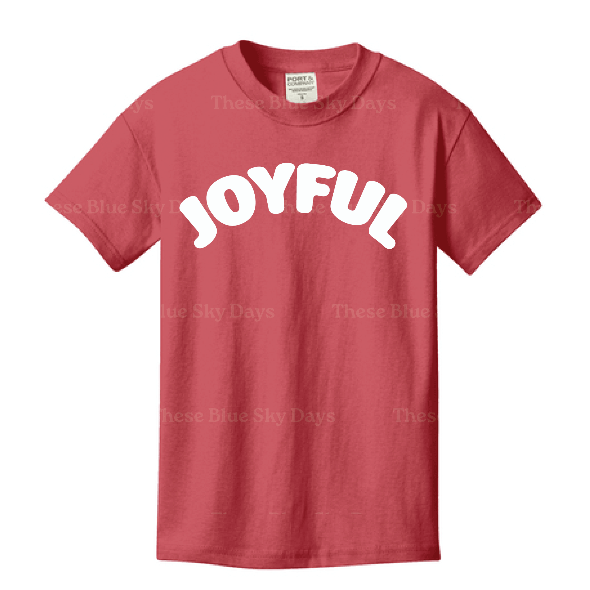 Joyful | Short Sleeved Youth T-Shirt