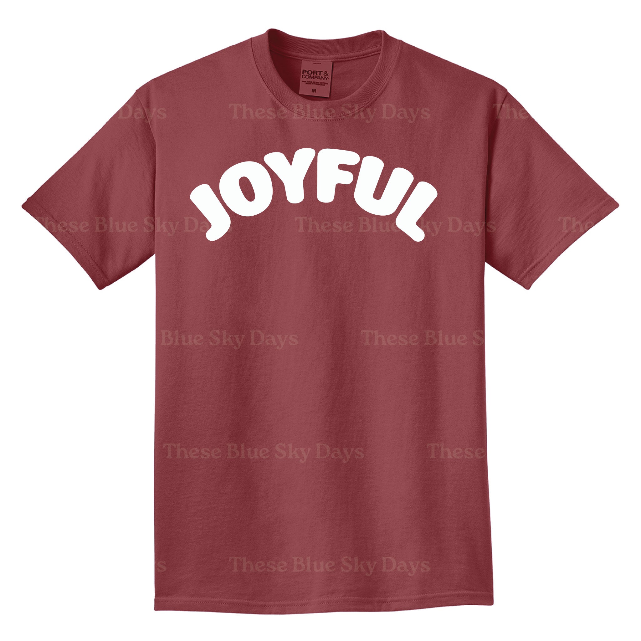 Joyful | Adult Short Sleeved T-Shirt