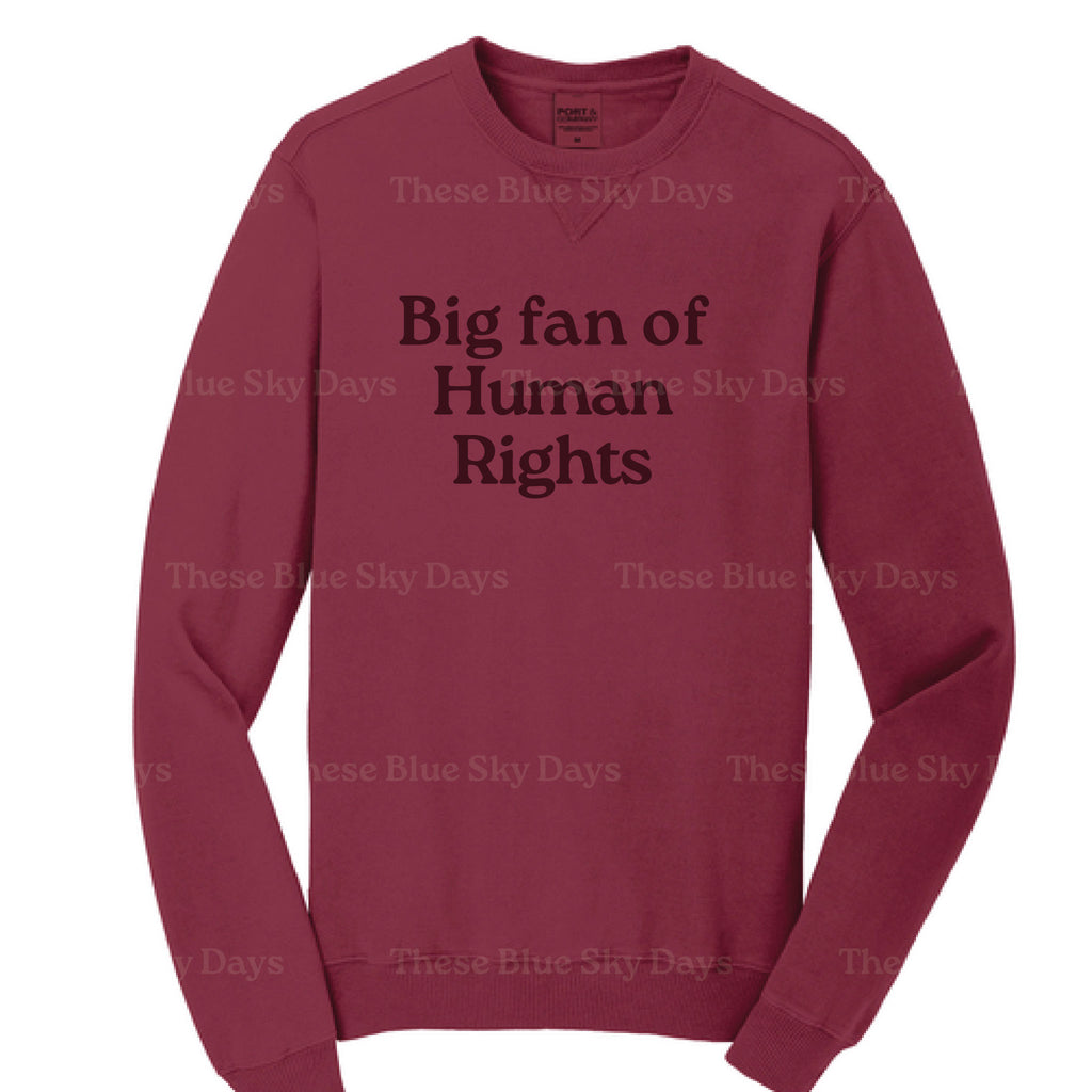 Human Rights | Sweatshirt