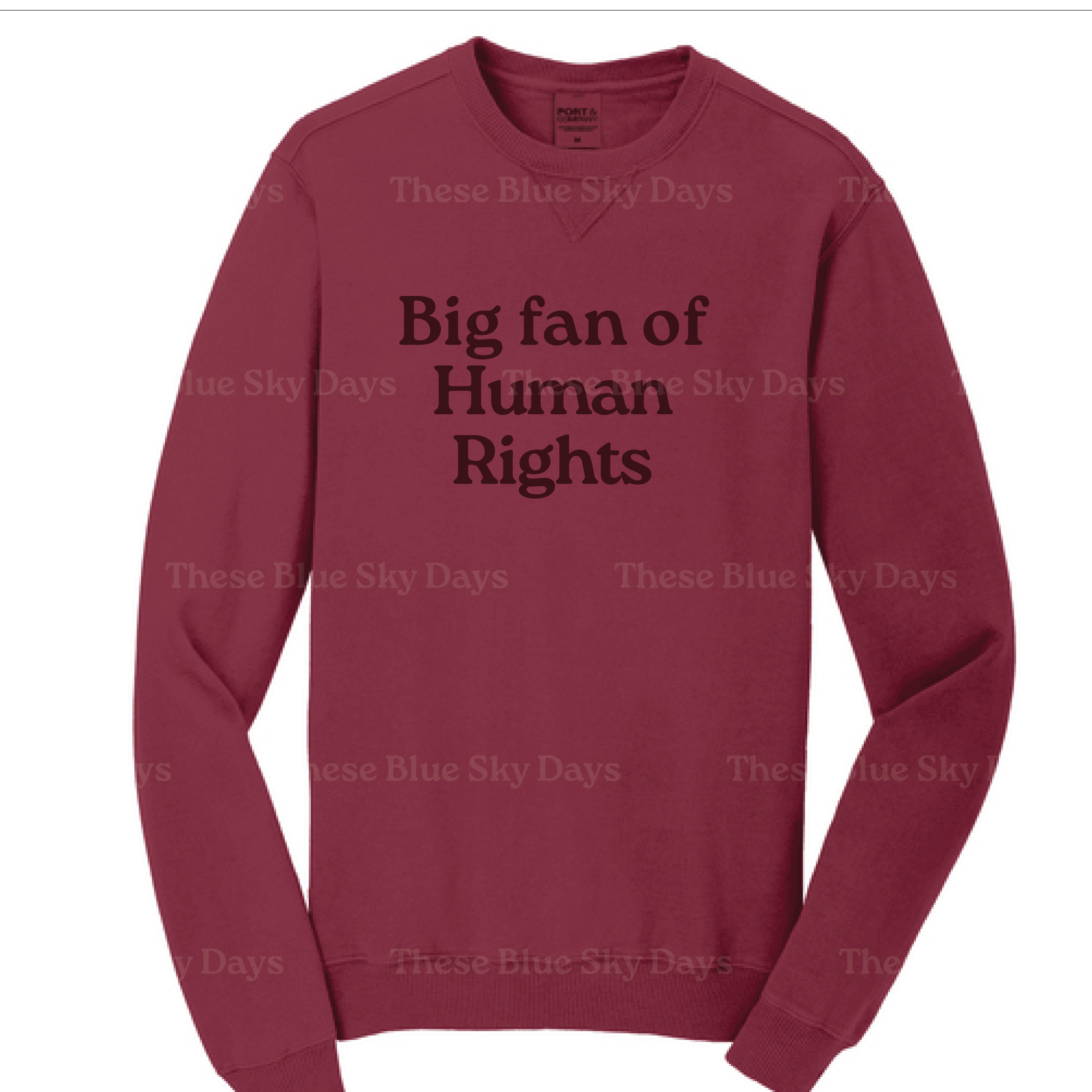 Human Rights | Sweatshirt