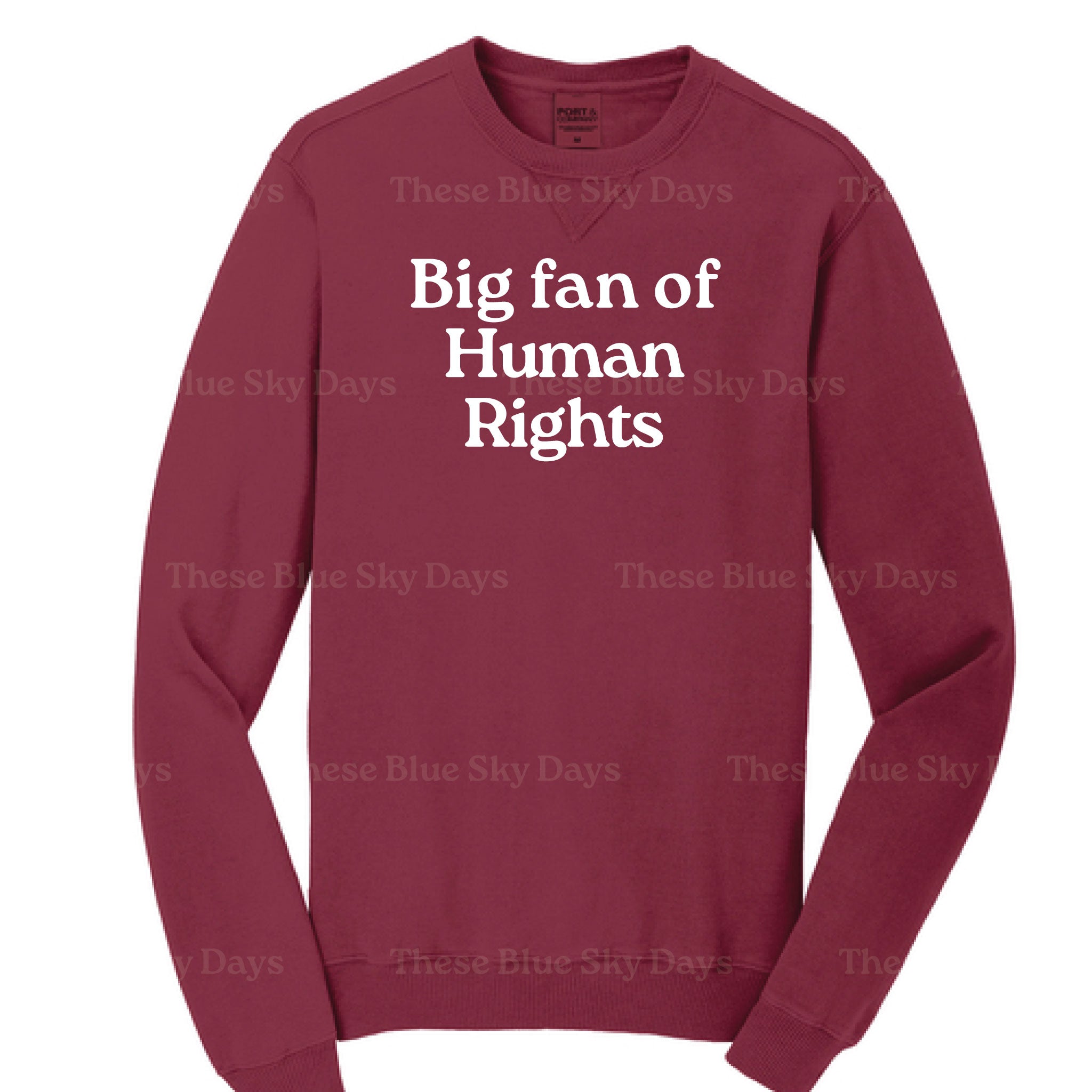 Human Rights | Sweatshirt